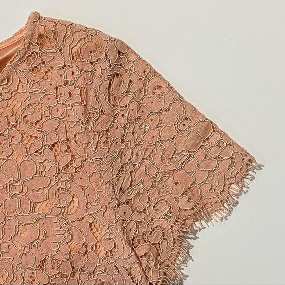 C Pink Girly Girl Sweet Lace Sheath Cocktail Mini Dress Women's Size Small - Picture 5 of 15